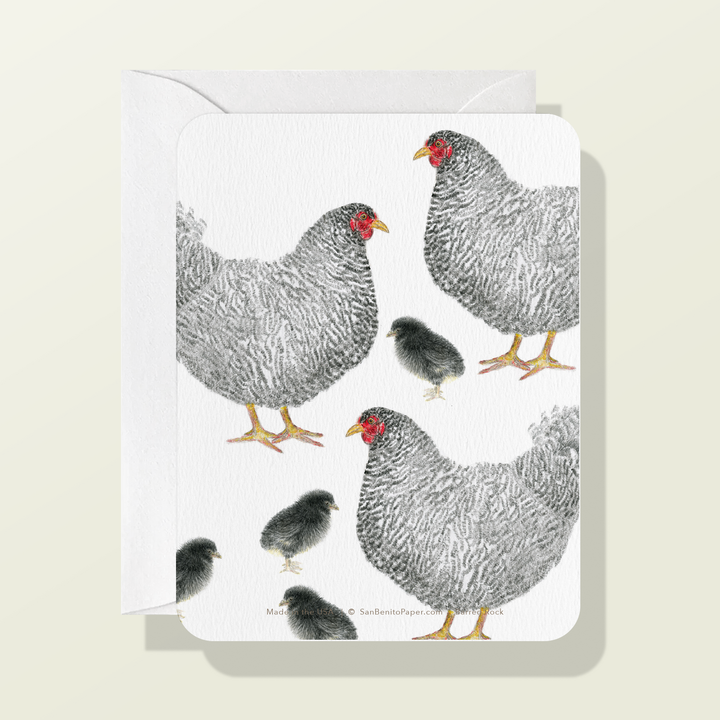 Barred Rock Chicken Card