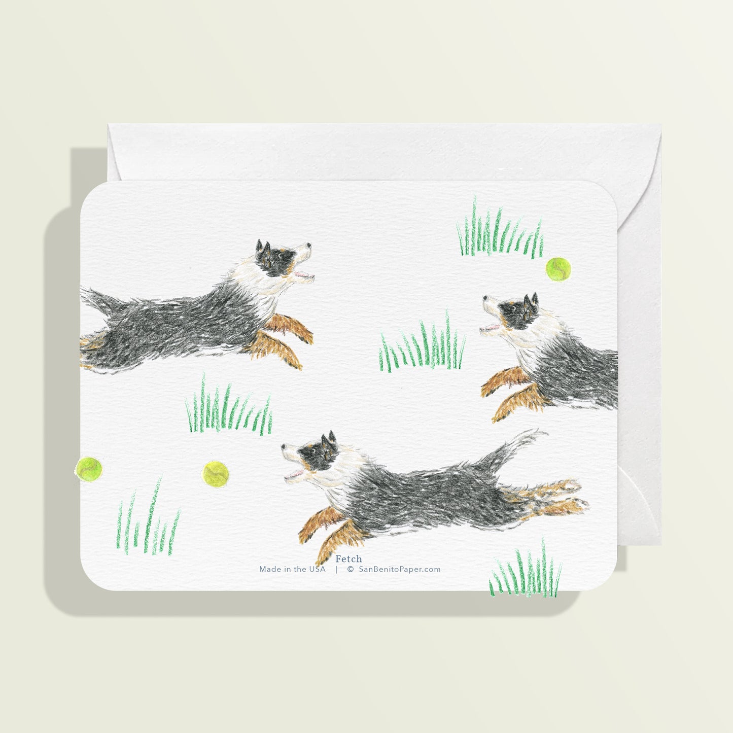 Fetch Card