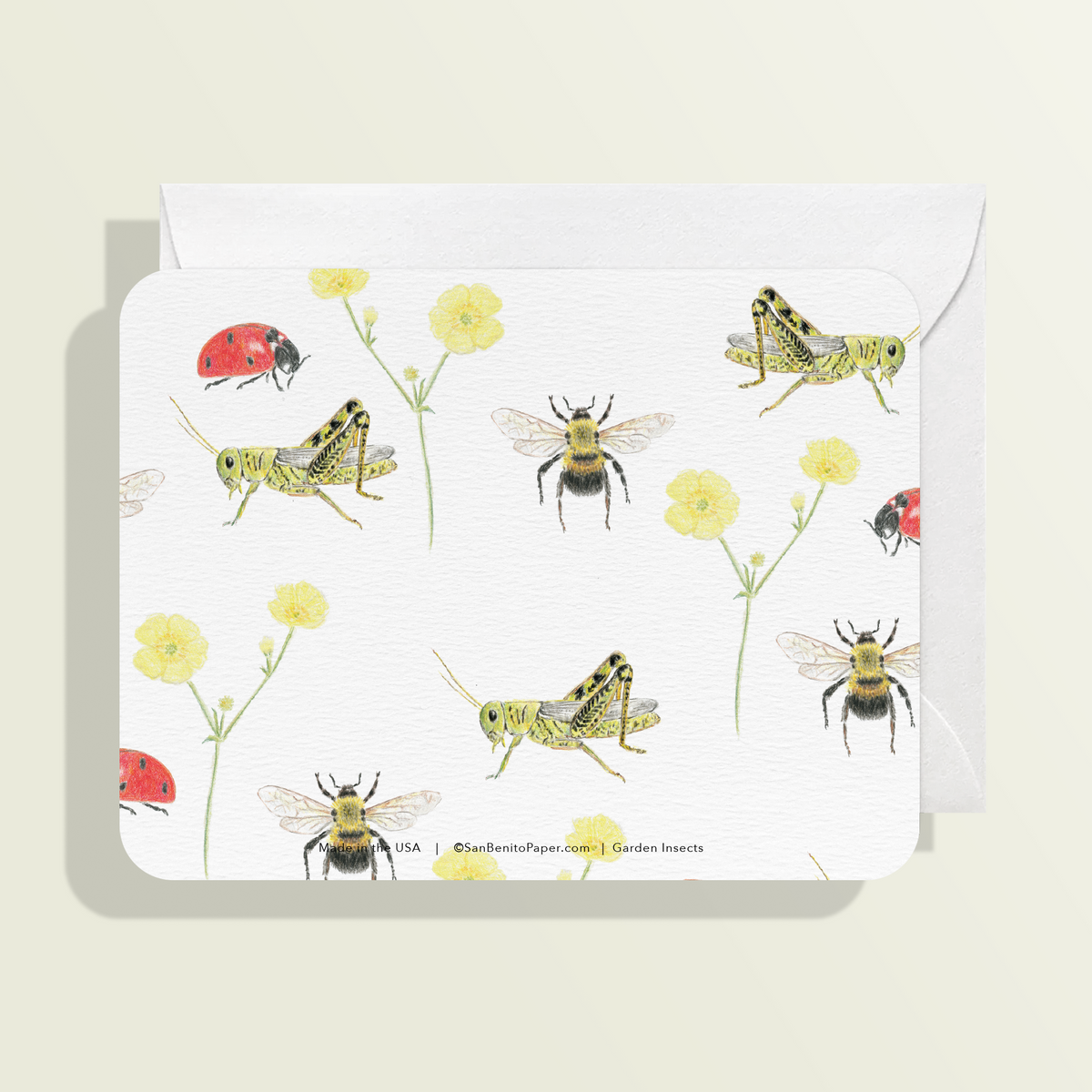 Garden Insects Card