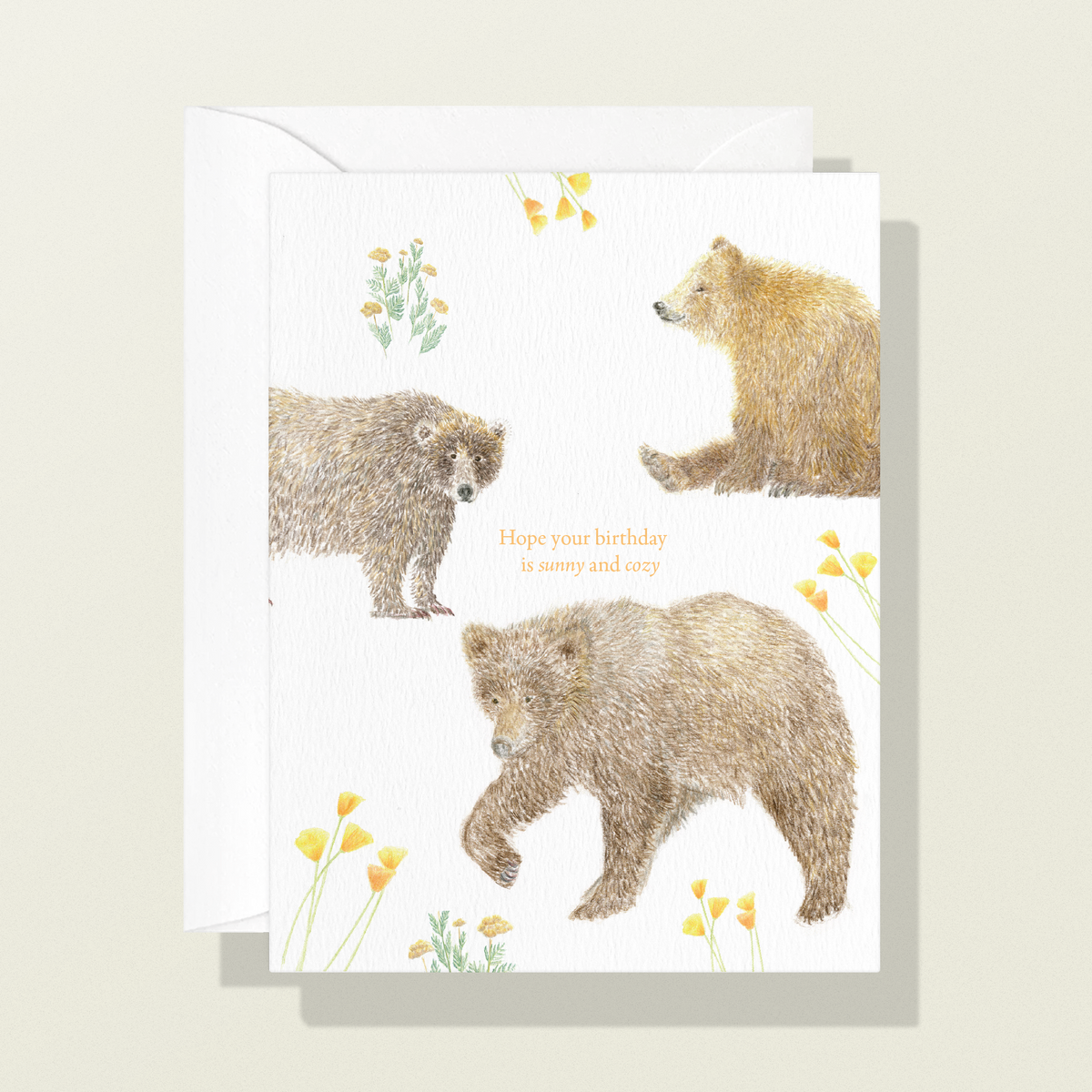Bear Birthday