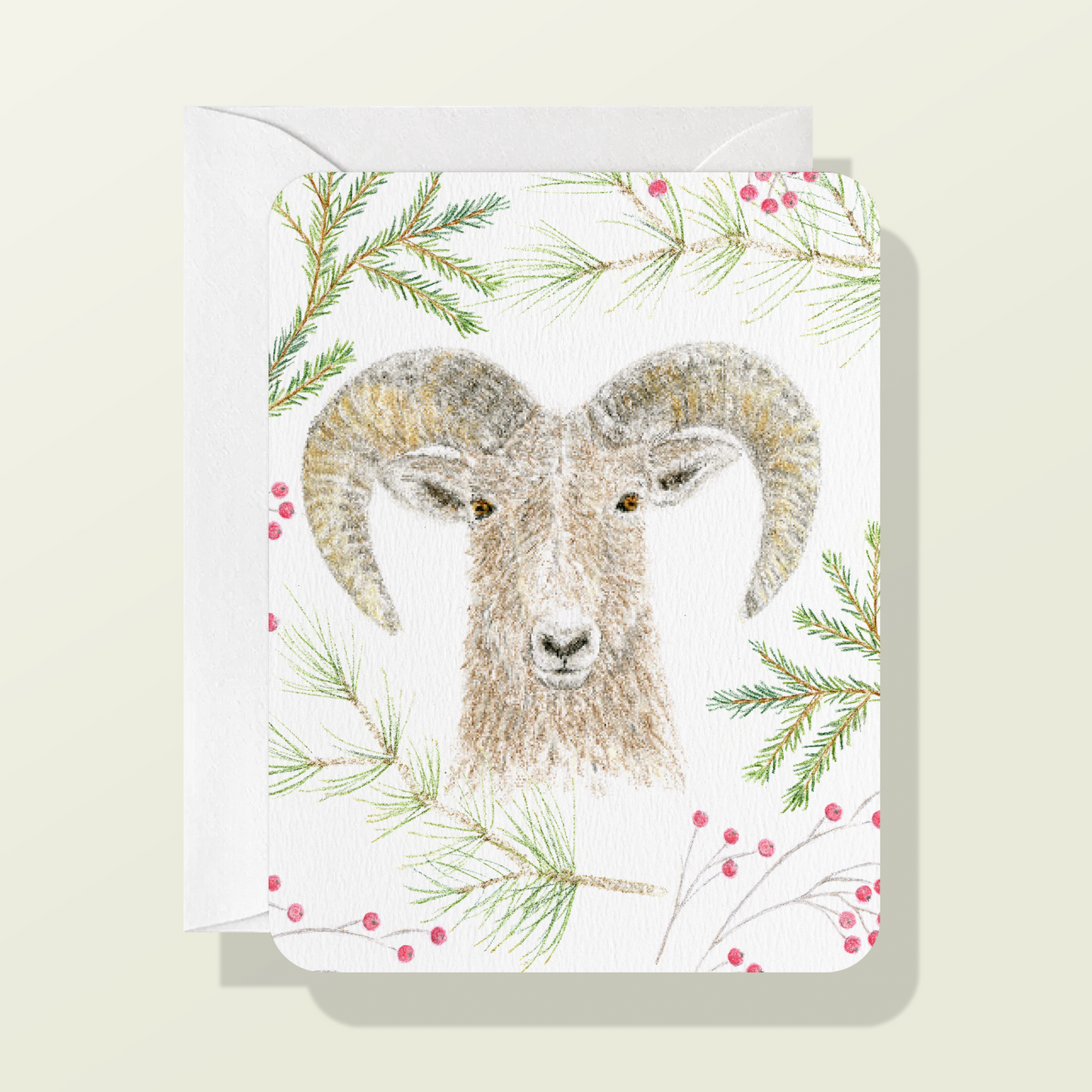 Mountain Sheep with Long and Short Needle Evergreen Card
