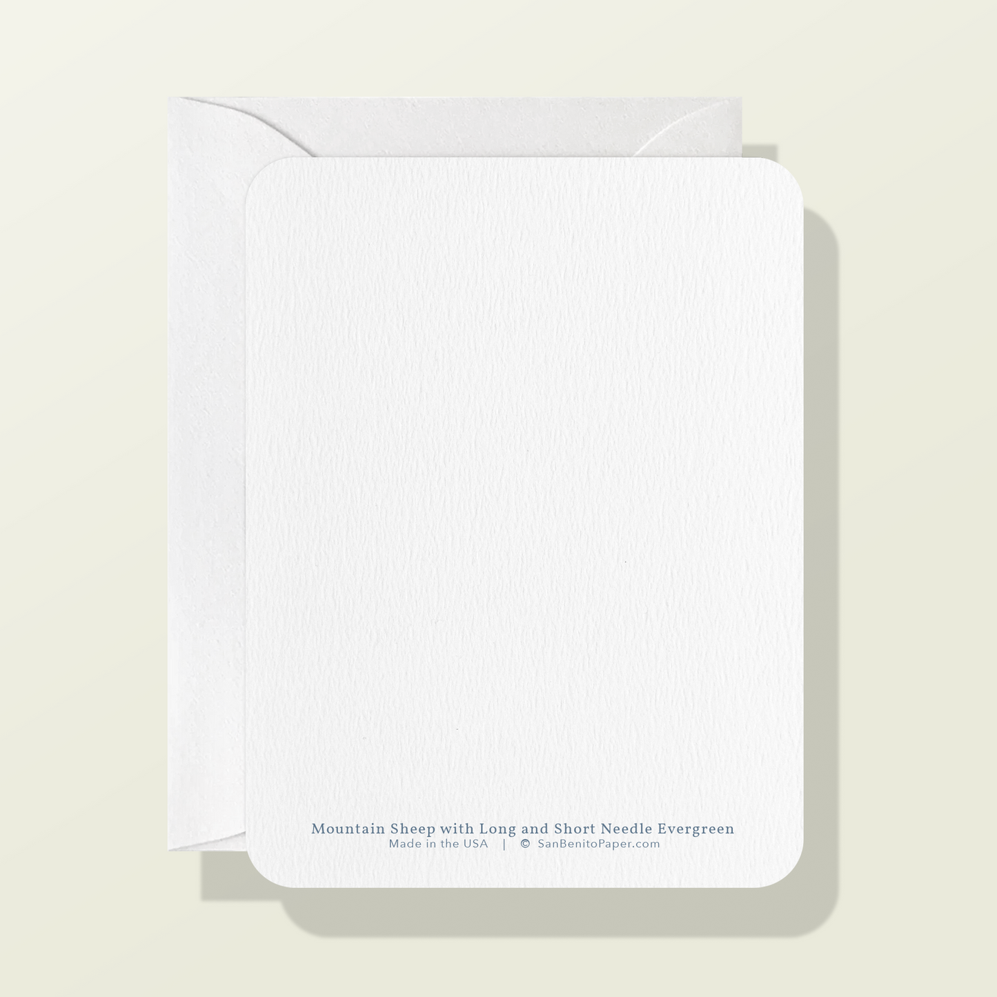 Mountain Sheep with Long and Short Needle Evergreen Card