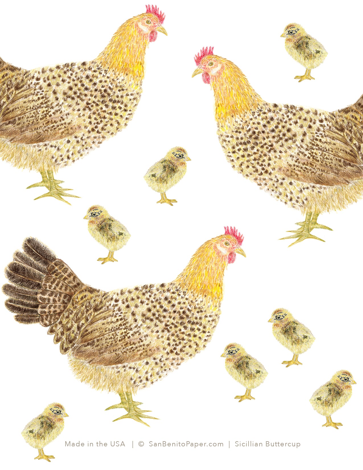 Sicilian Buttercup Chicken Card