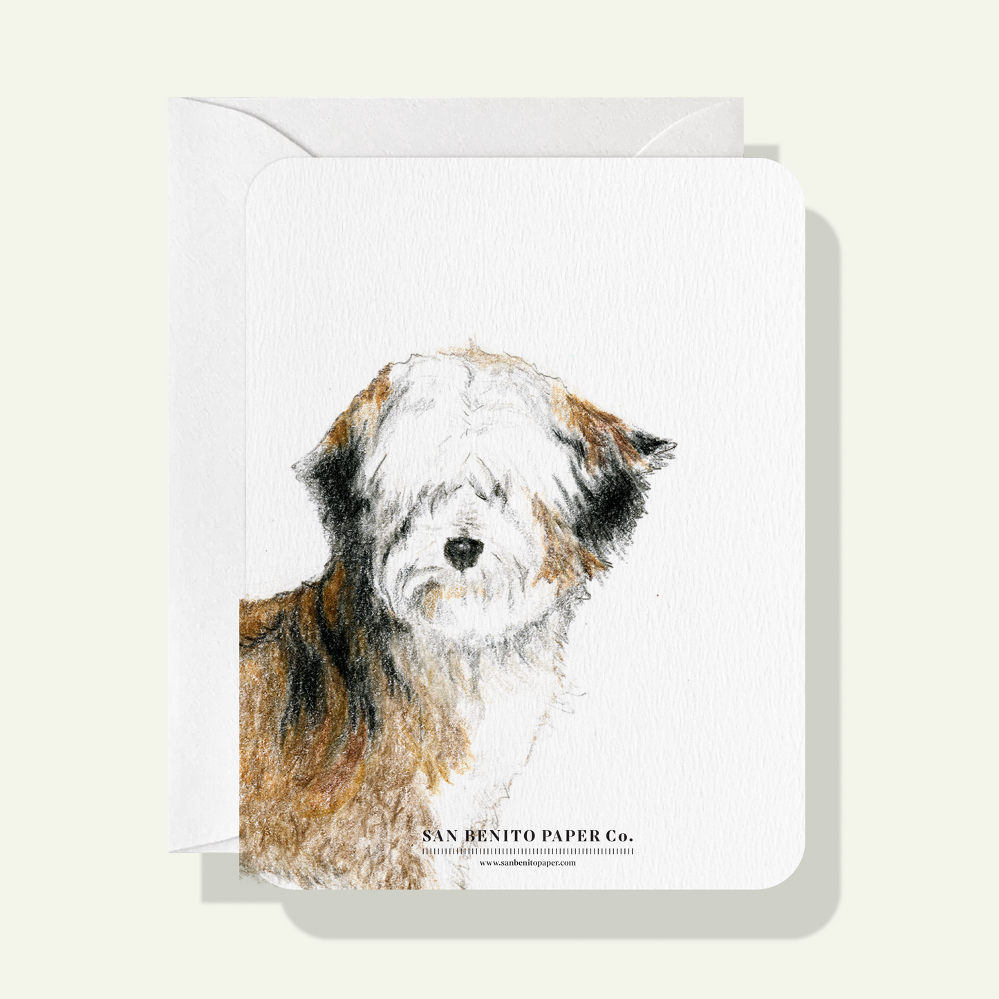 Tibetan Terrier Card