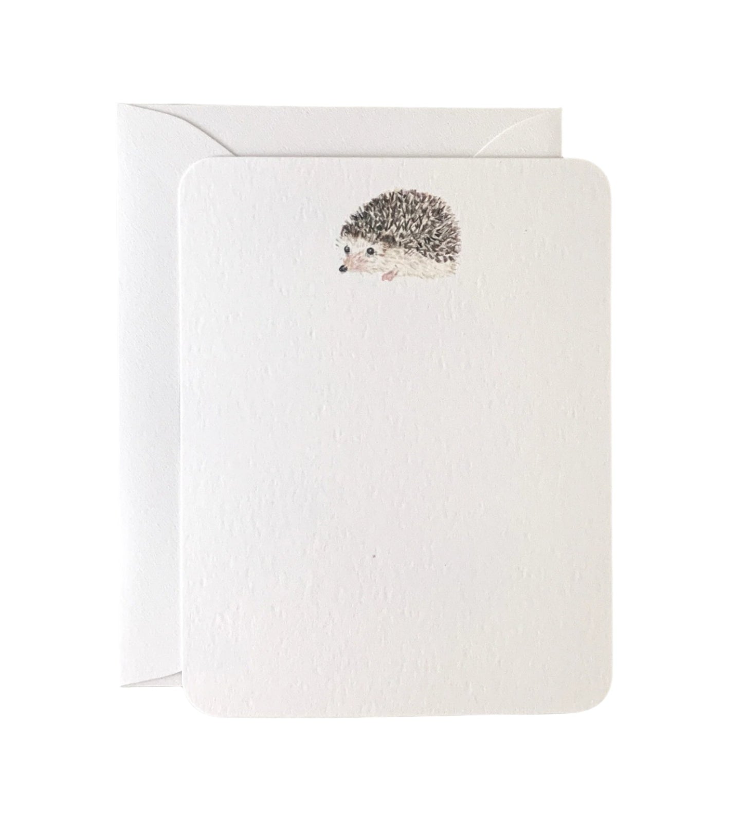 Hedgie Card - Bundle of 3