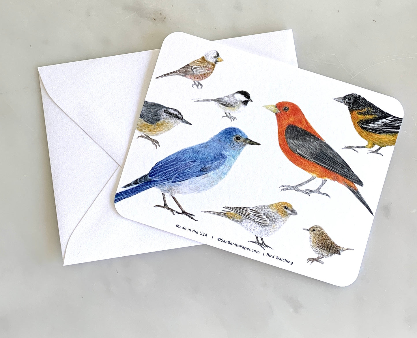 Bird Watching Stationery Set