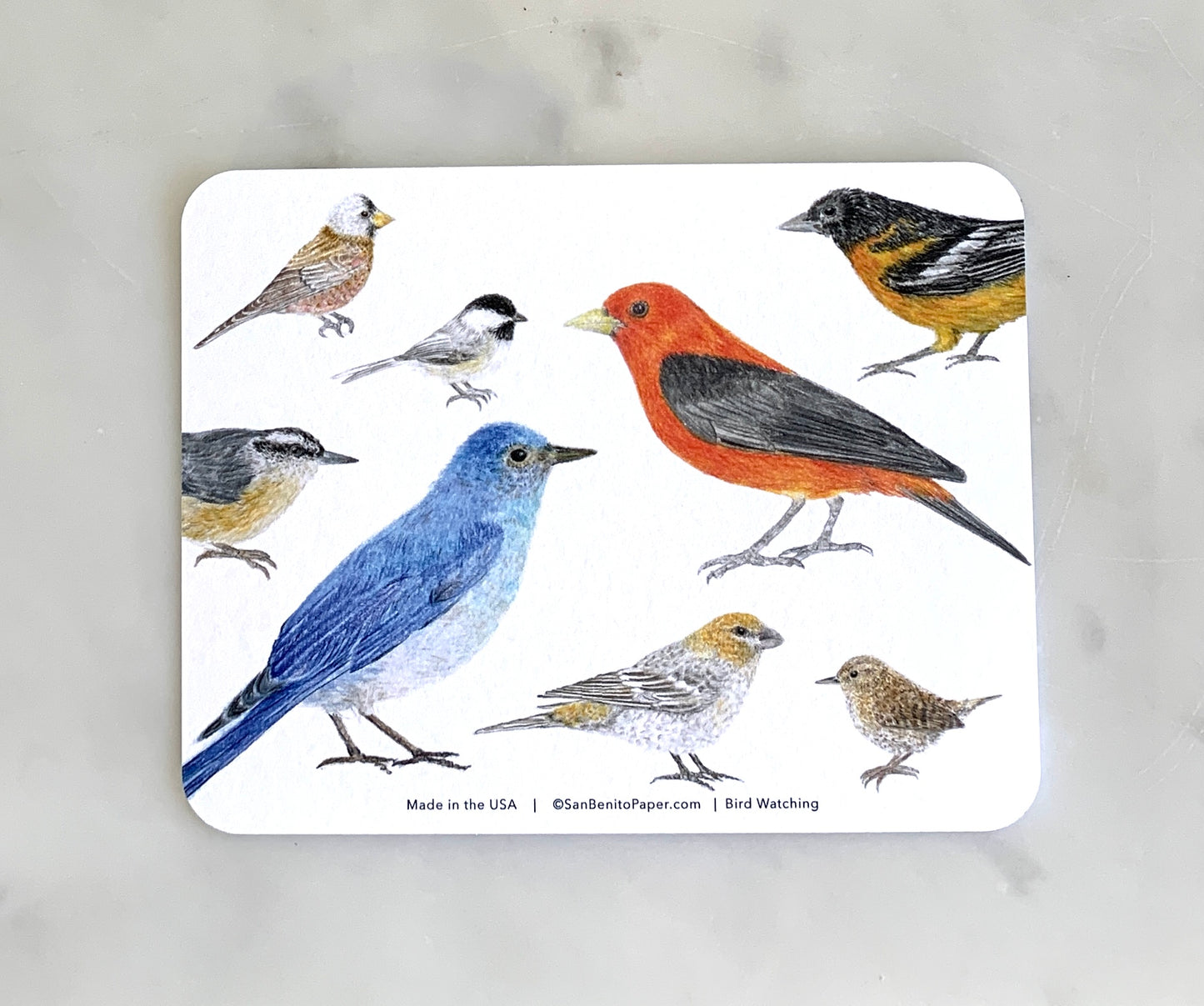 Bird Watching Card