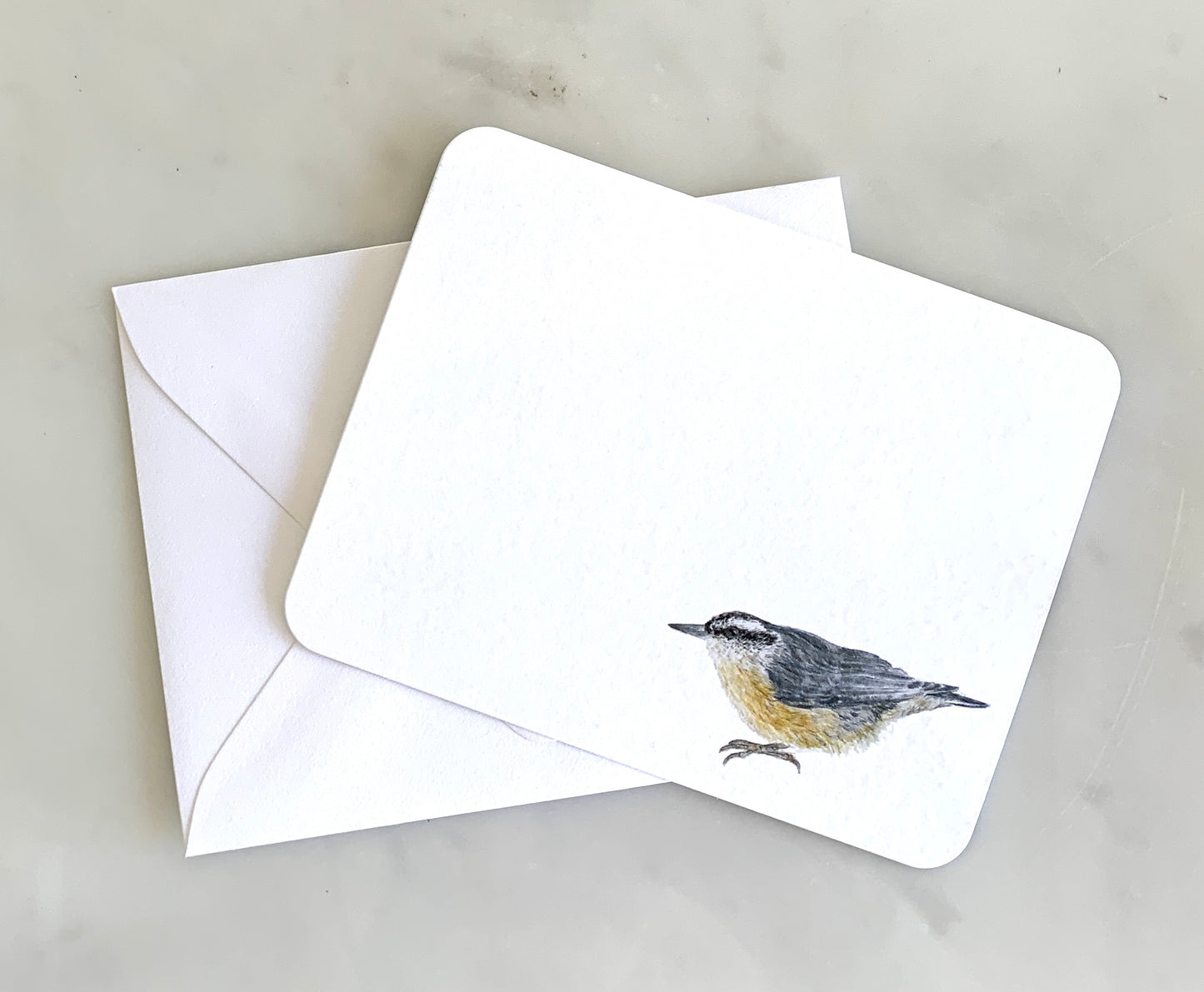 Bird Watching Stationery Set