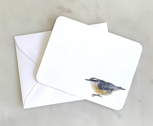 Bird Watching Stationery Set