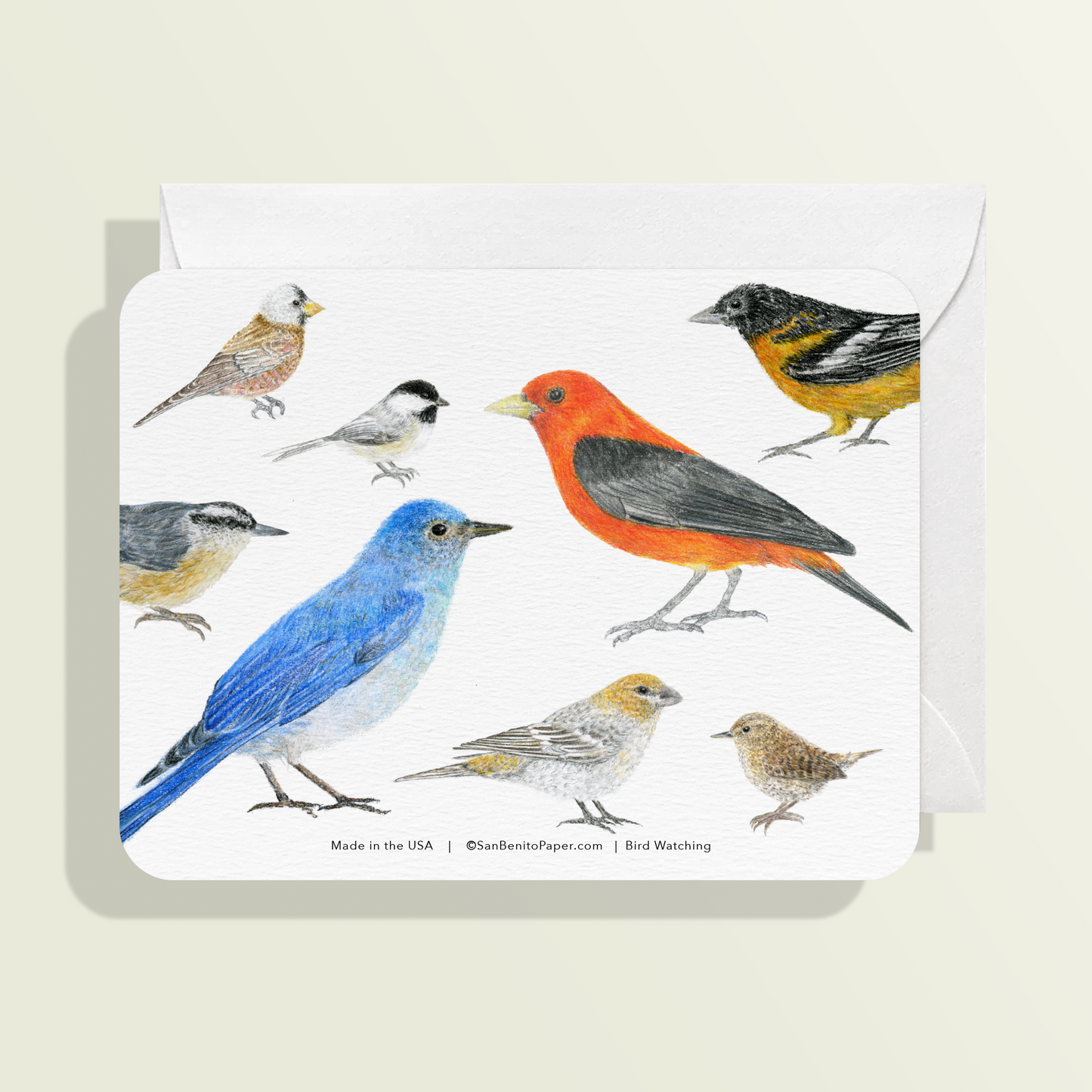 Bird Watching Card