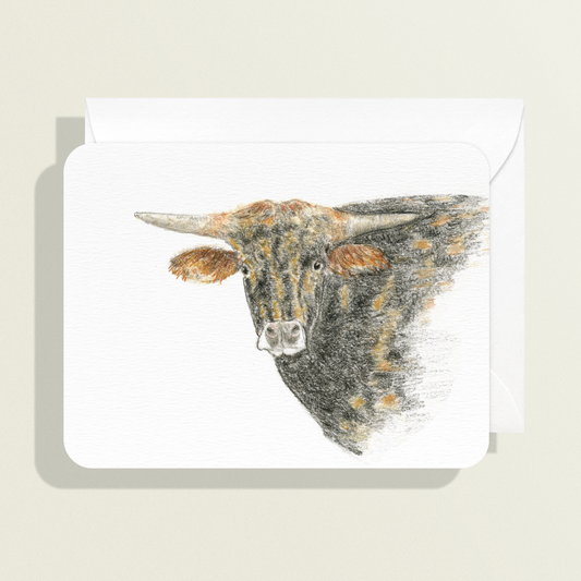 Black Brindle Longhorn