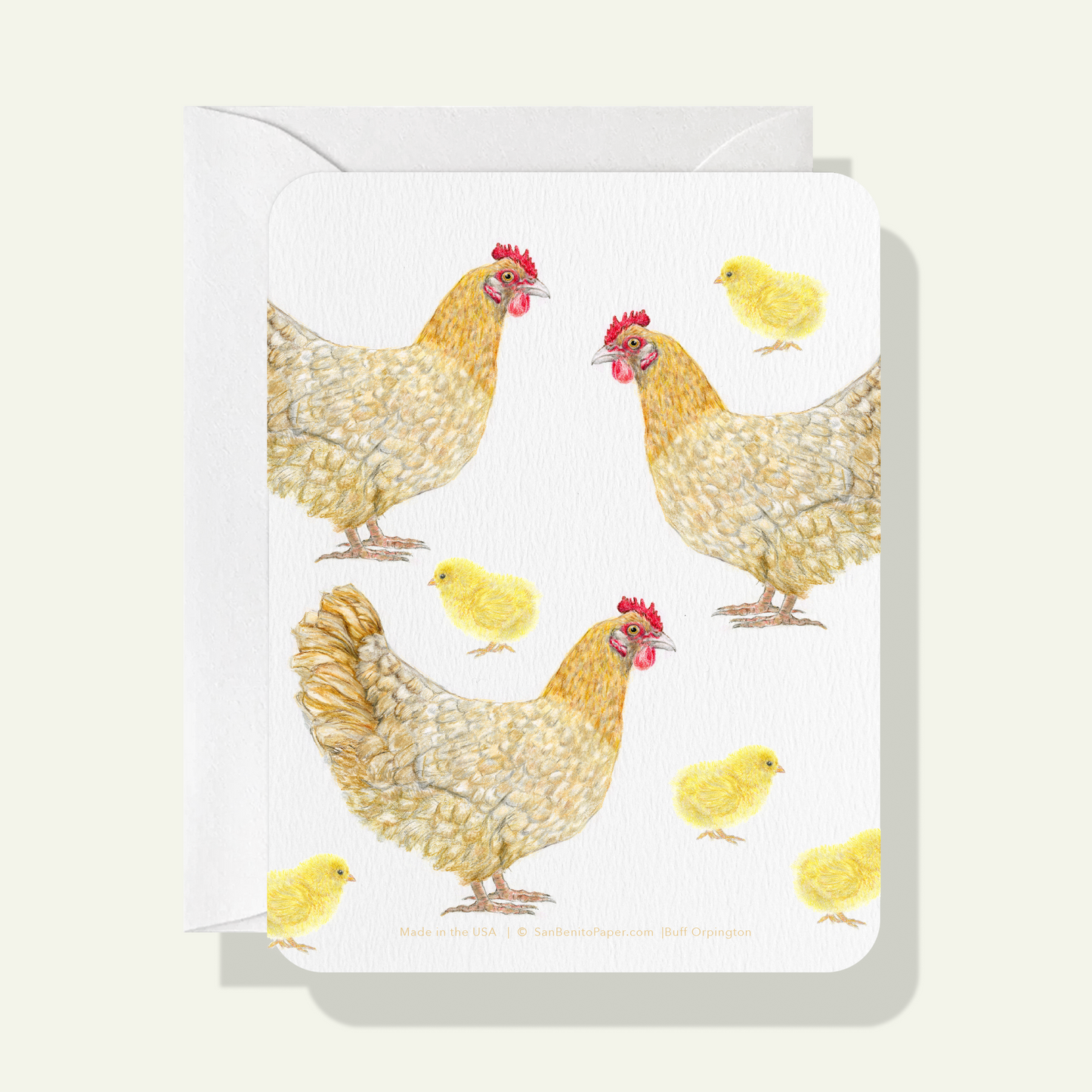 Buff Orpington Chicken Card