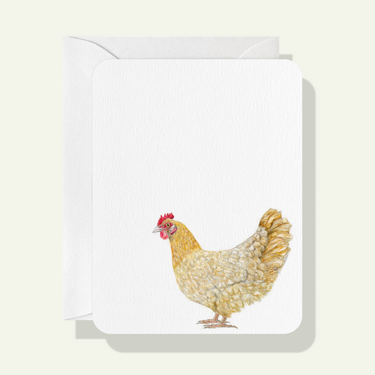 Buff Orpington Chicken Card