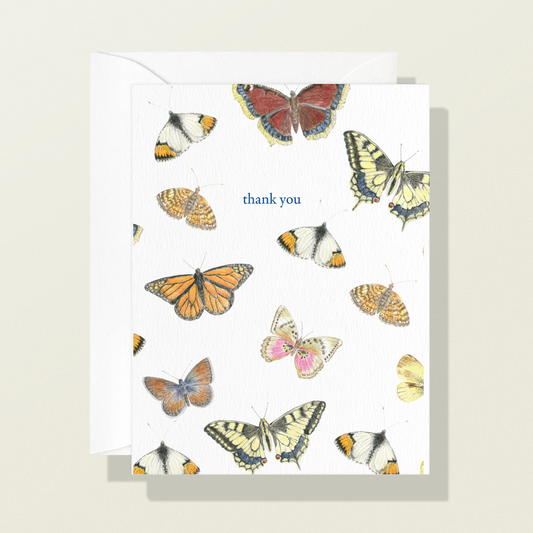 Butterflies Thank You