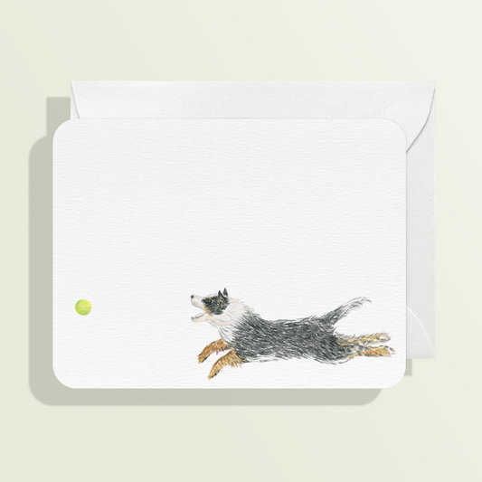 Fetch Card