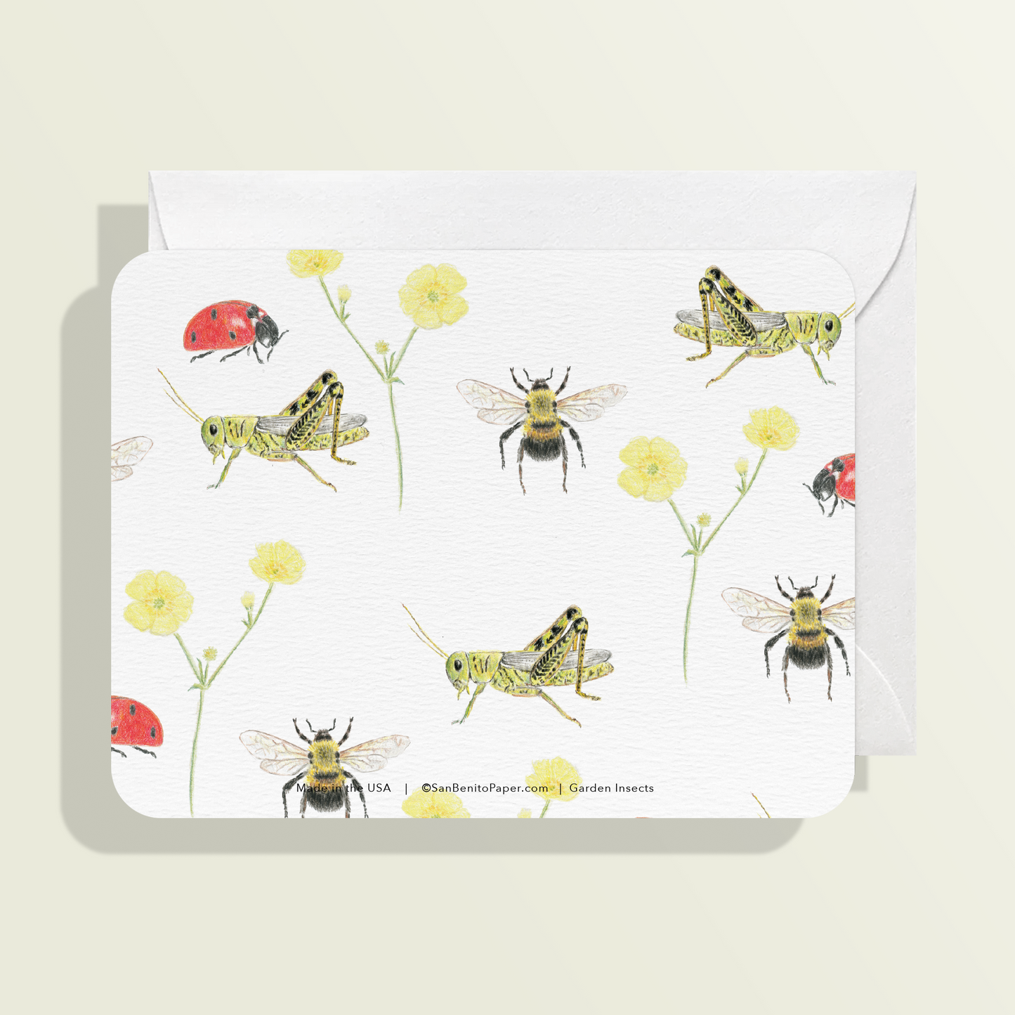 Garden Insects Card