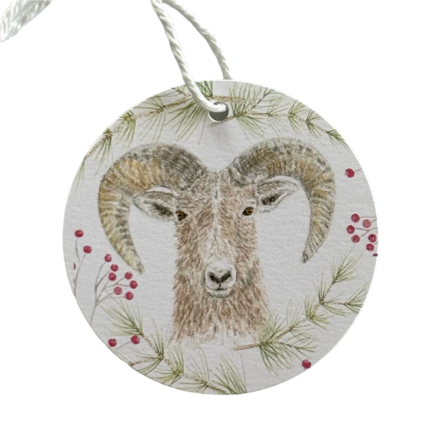 Mountain Sheep Gift Tag