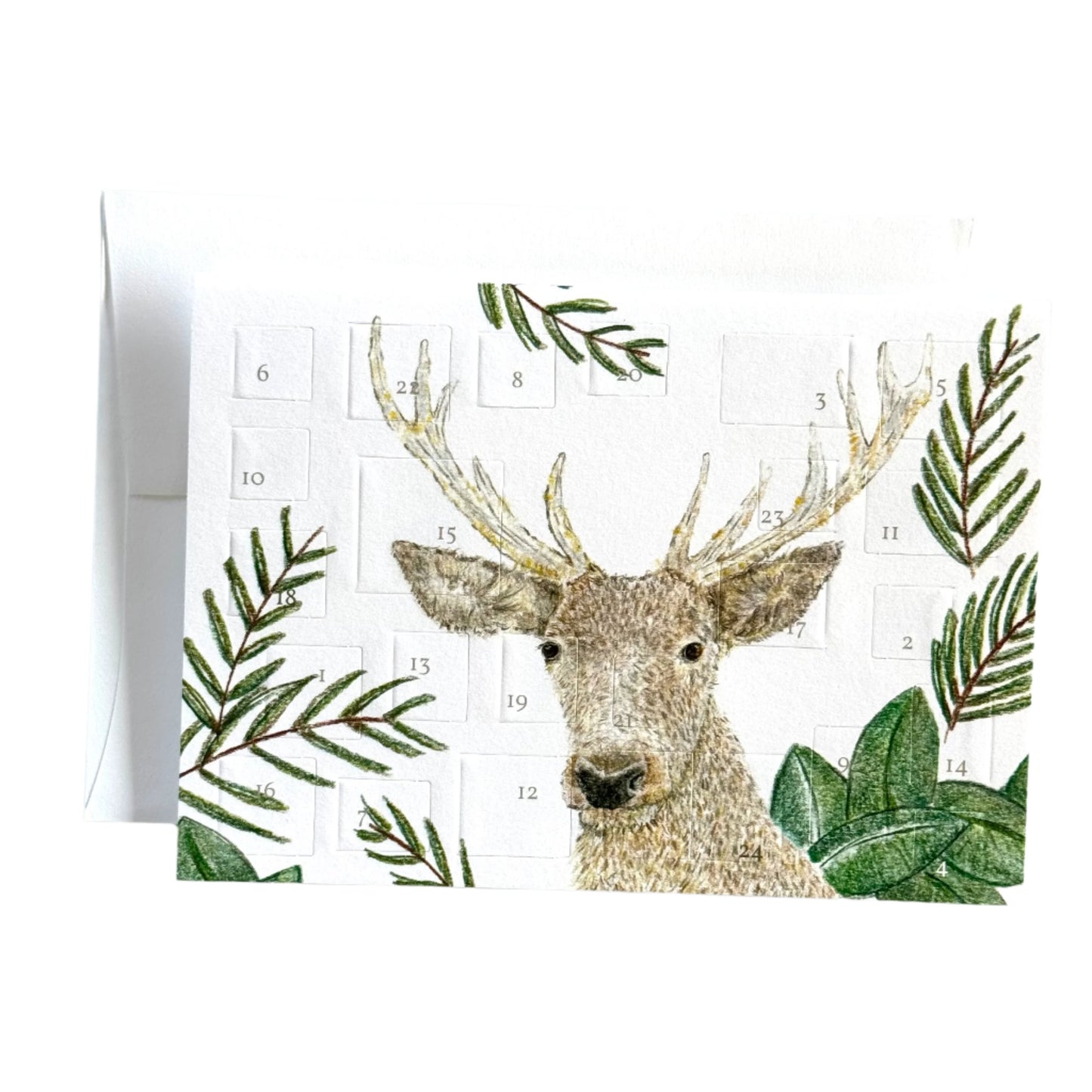 Deer Advent Card