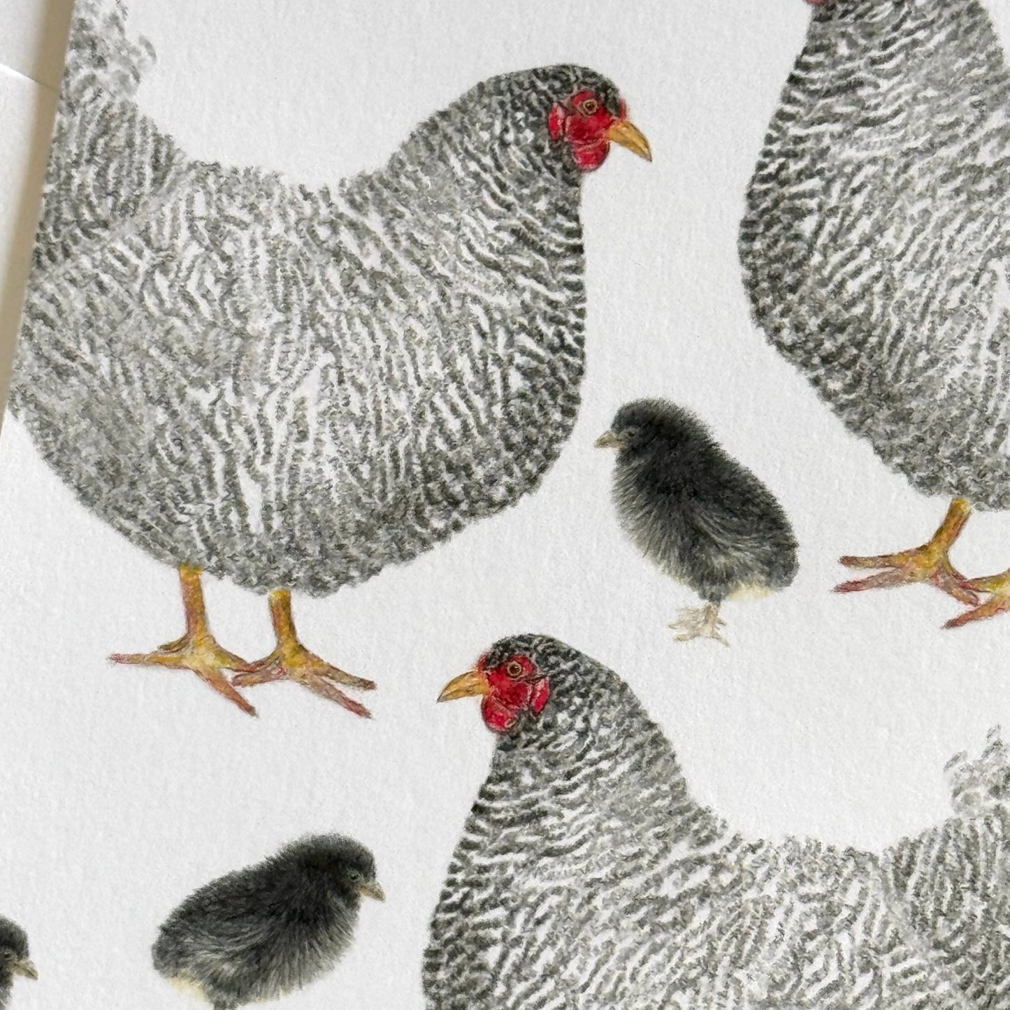 Barred Rock Chicken Stationery