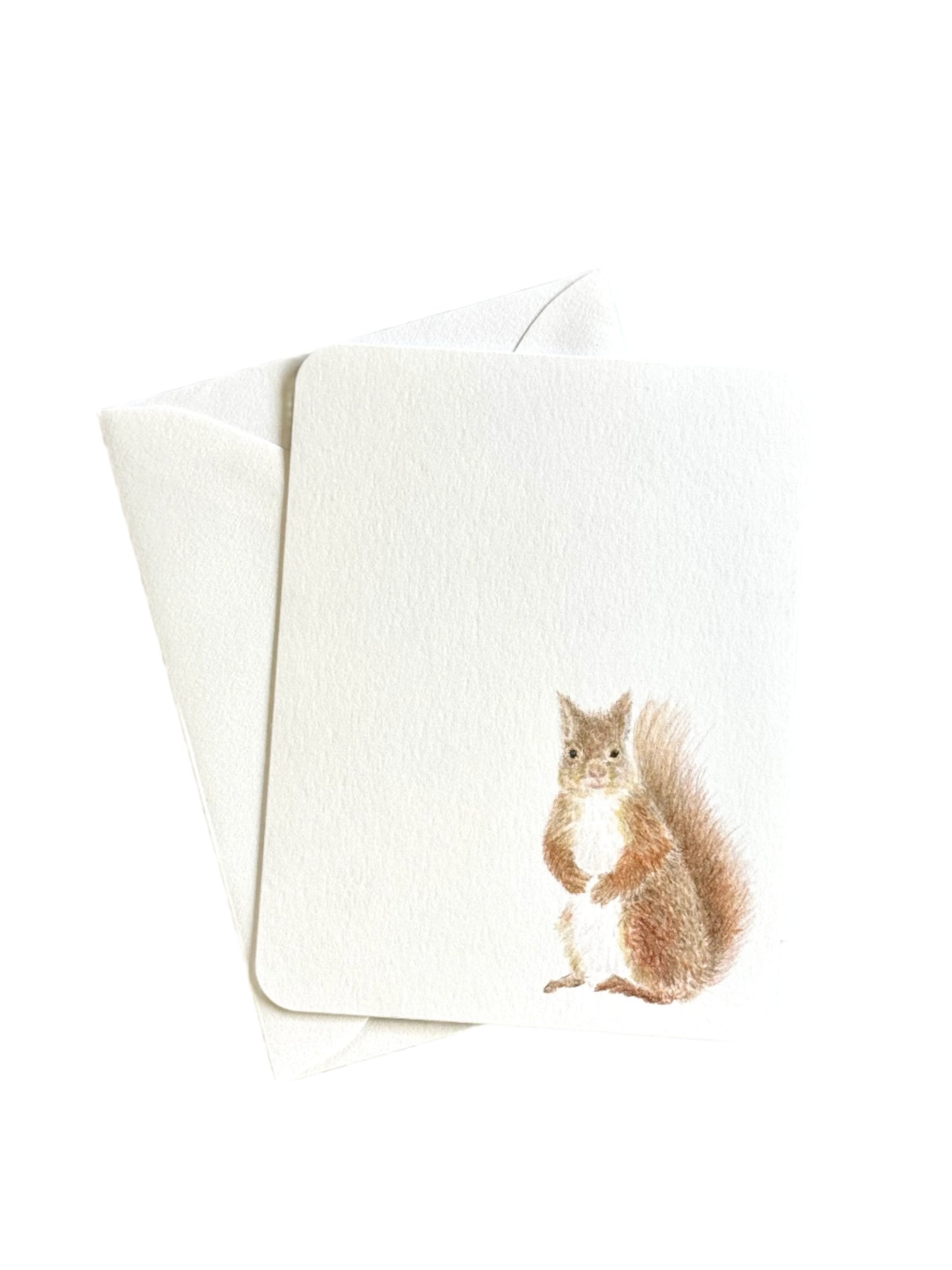 Red Squirrel and Oak Stationery Set