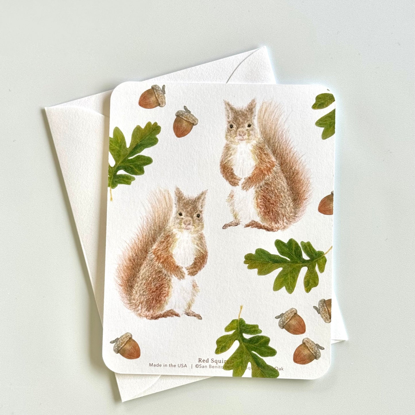 Red Squirrel and Oak Stationery Set