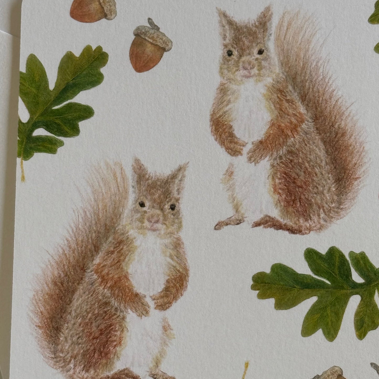 Red Squirrel and Oak Stationery Set