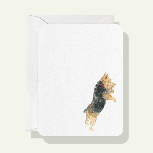 Luna Card