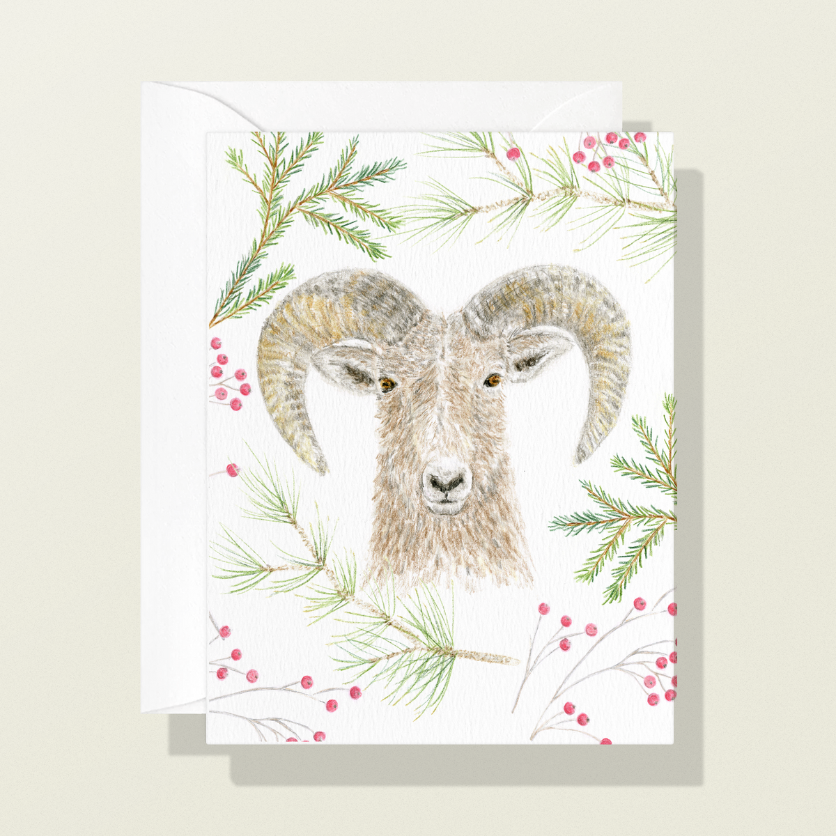 Mountain Sheep Holiday