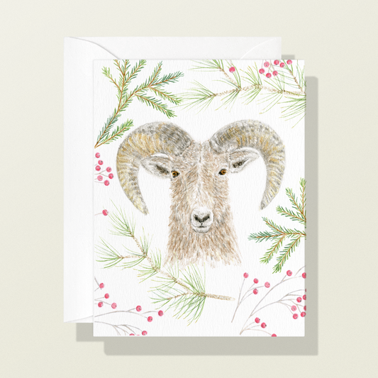 Mountain Sheep Holiday