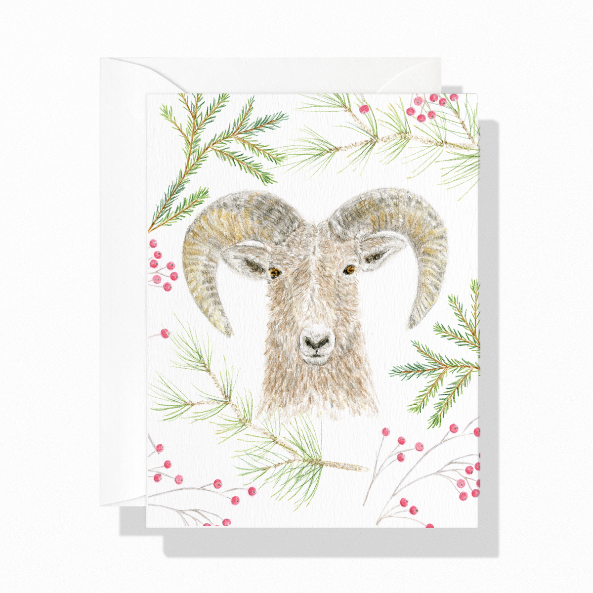 Mountain Sheep Holiday