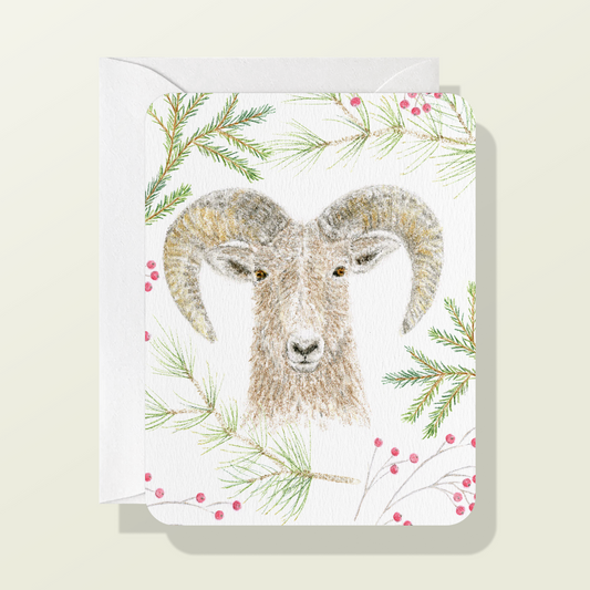 Mountain Sheep with Long and Short Needle Evergreen Card