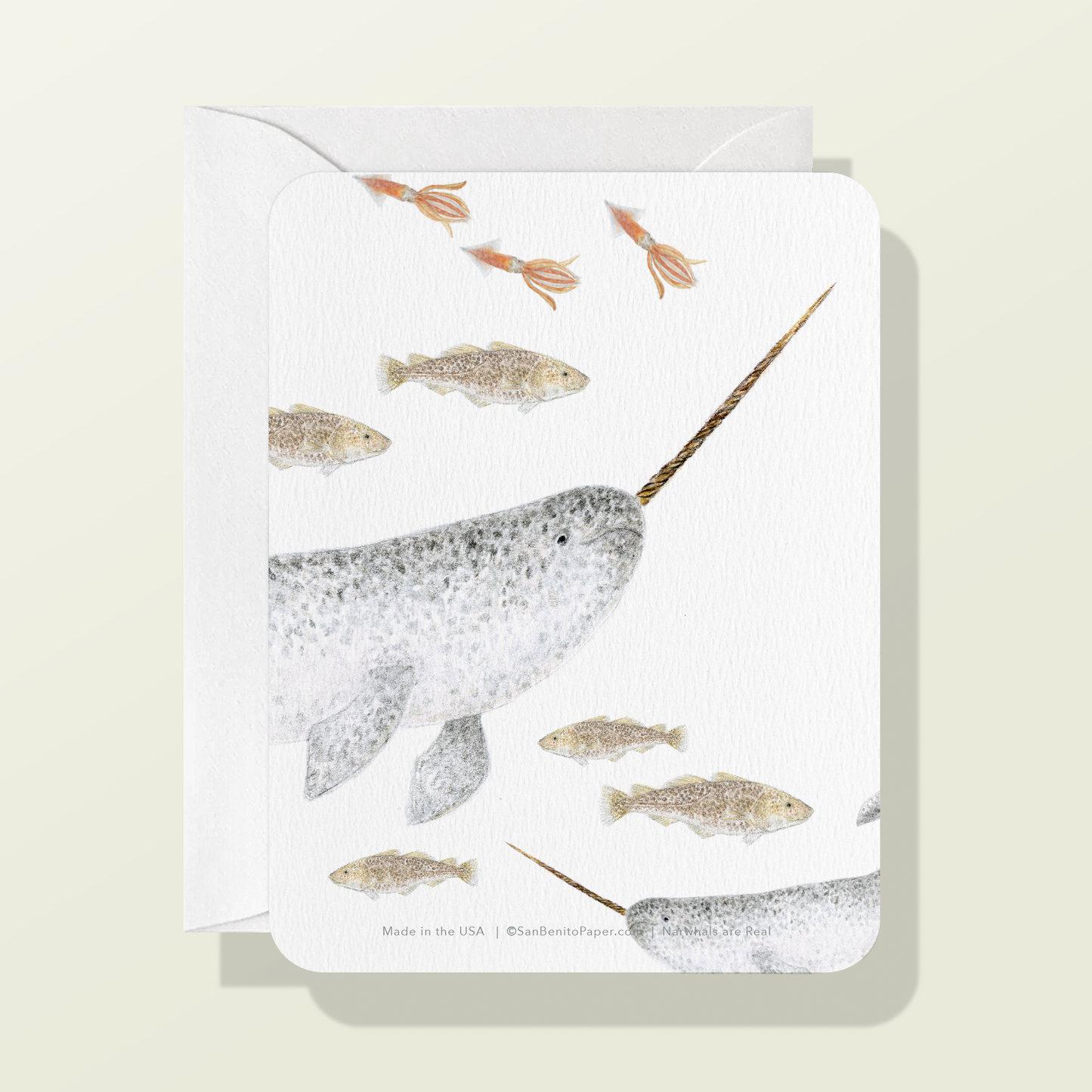Narwhal Card