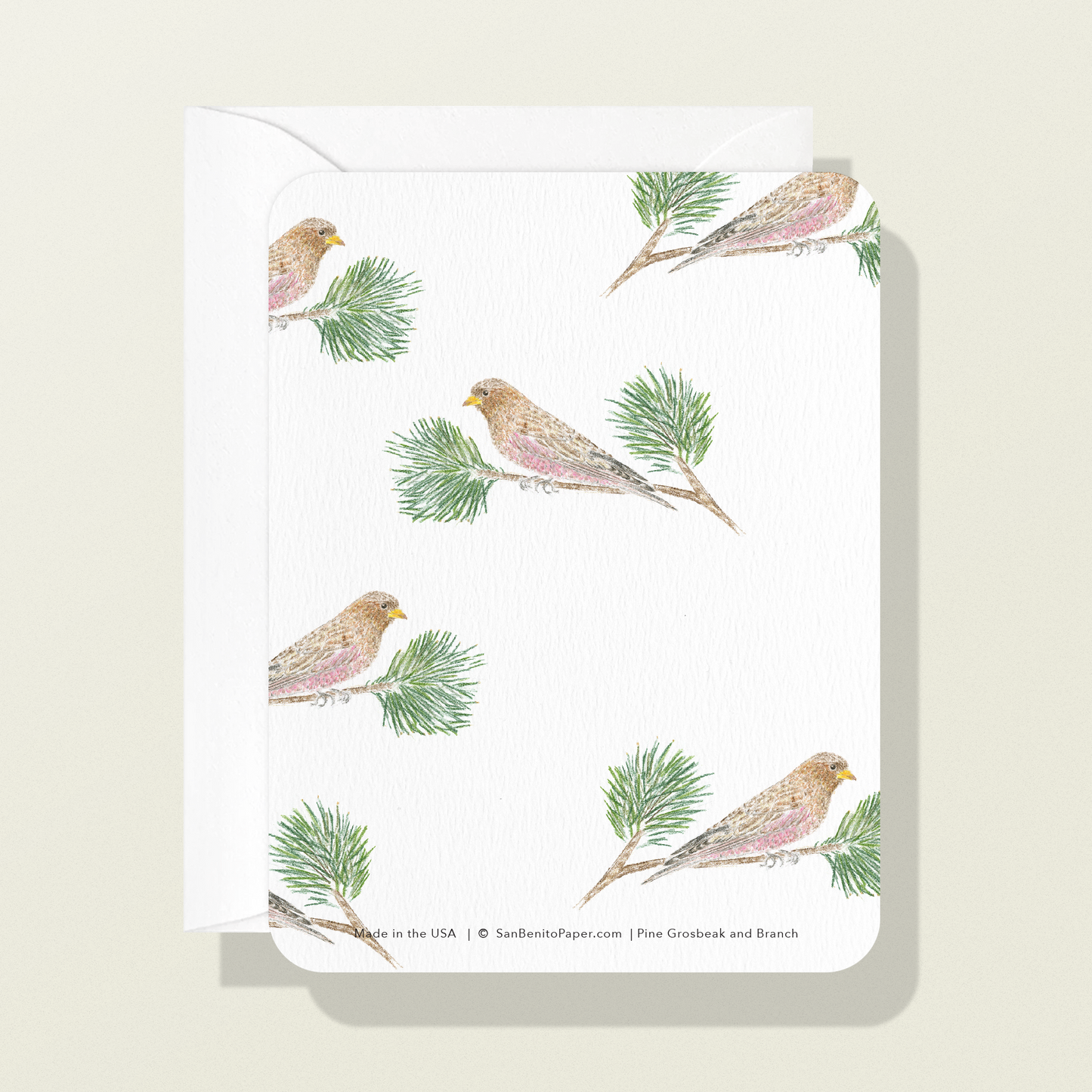 Pine Grosbeak and Branch