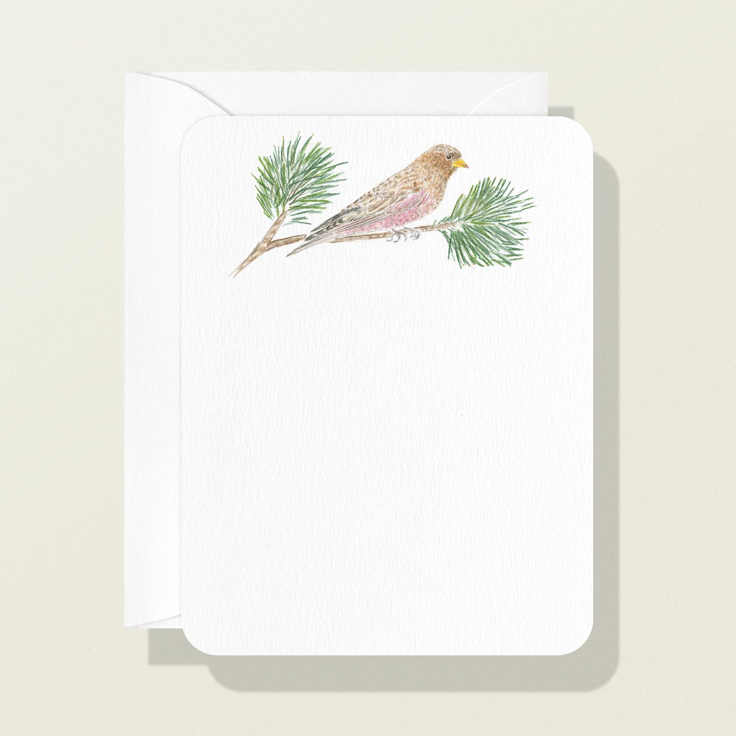 Pine Grosbeak and Branch