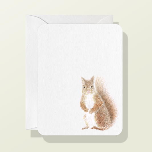 Red Squirrel Card