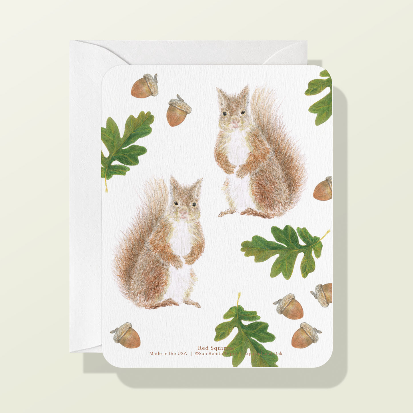 Red Squirrel Card