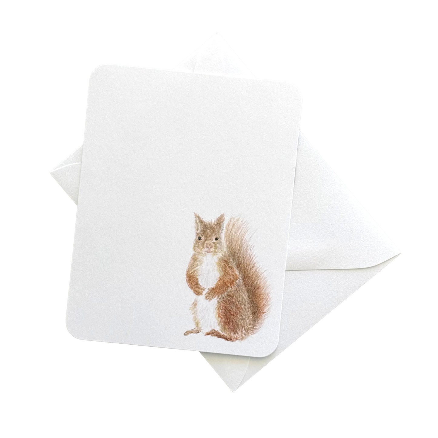 Red Squirrel and Oak Card