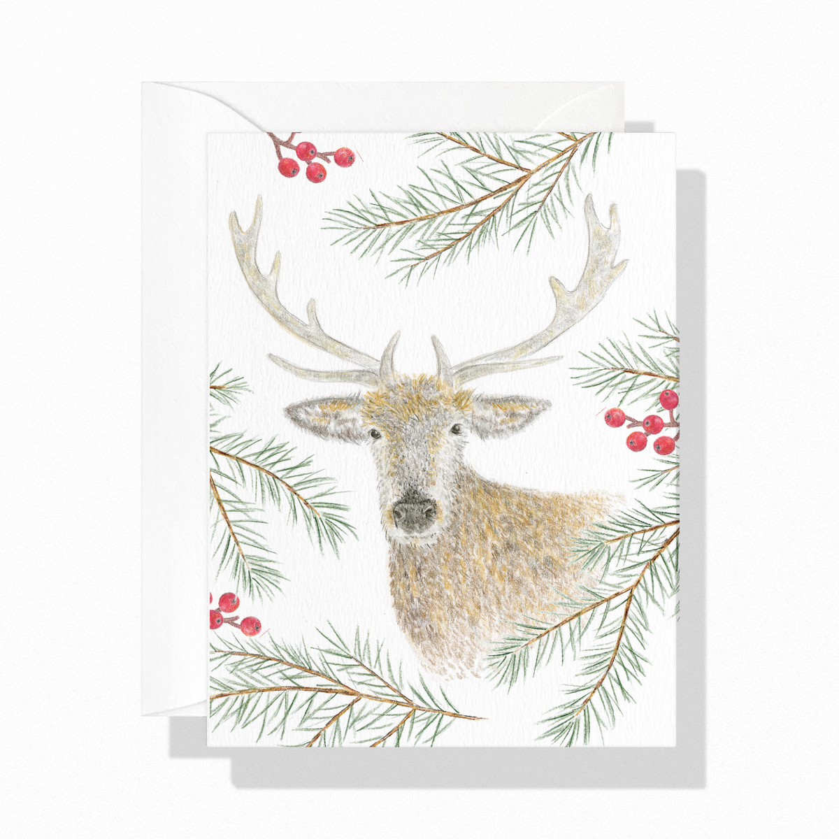 Reindeer Holiday