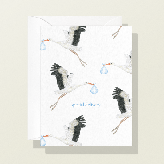 Special Delivery Card