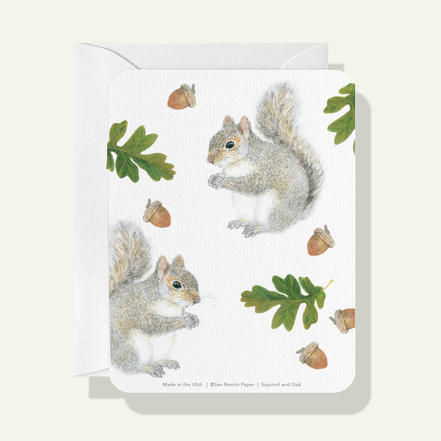 Squirrel Card