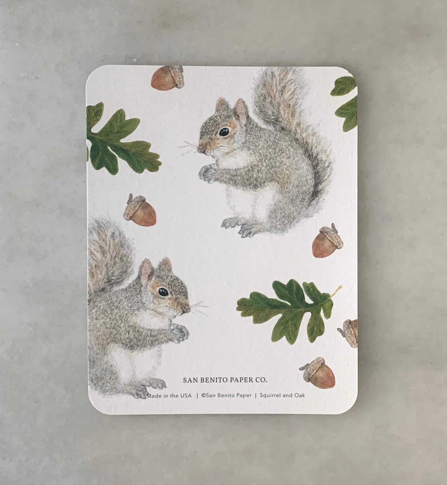 Squirrel Card Stationery Set