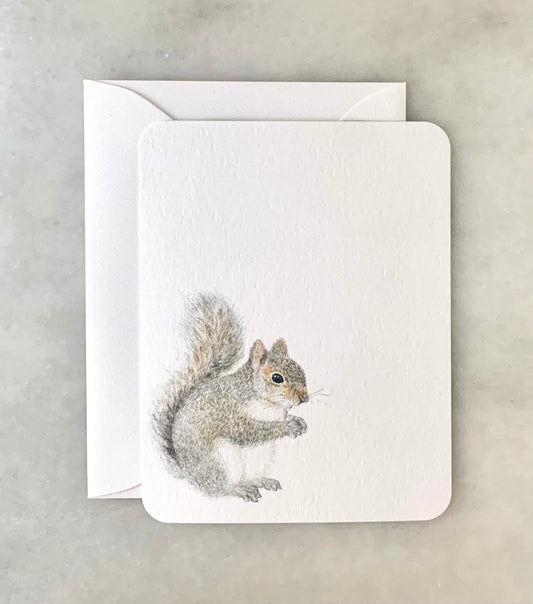 Squirrel Card Stationery Set