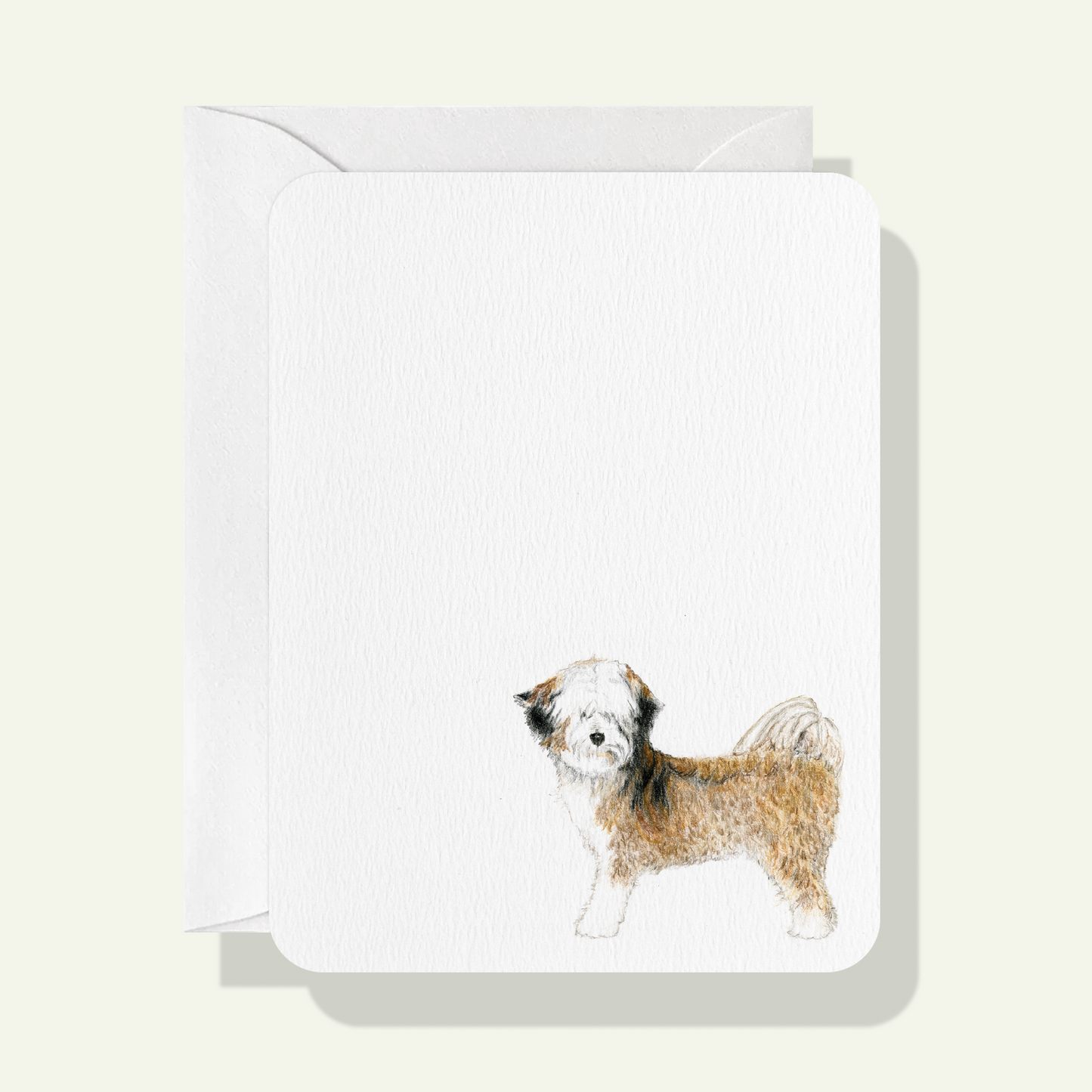 Tibetan Terrier Card