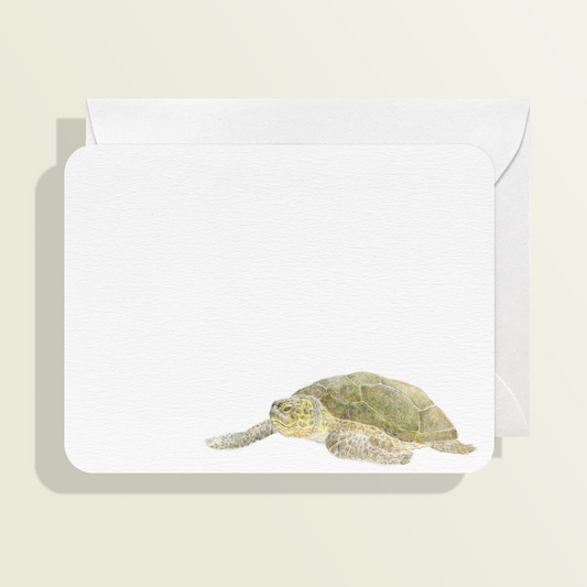 Turtle Card
