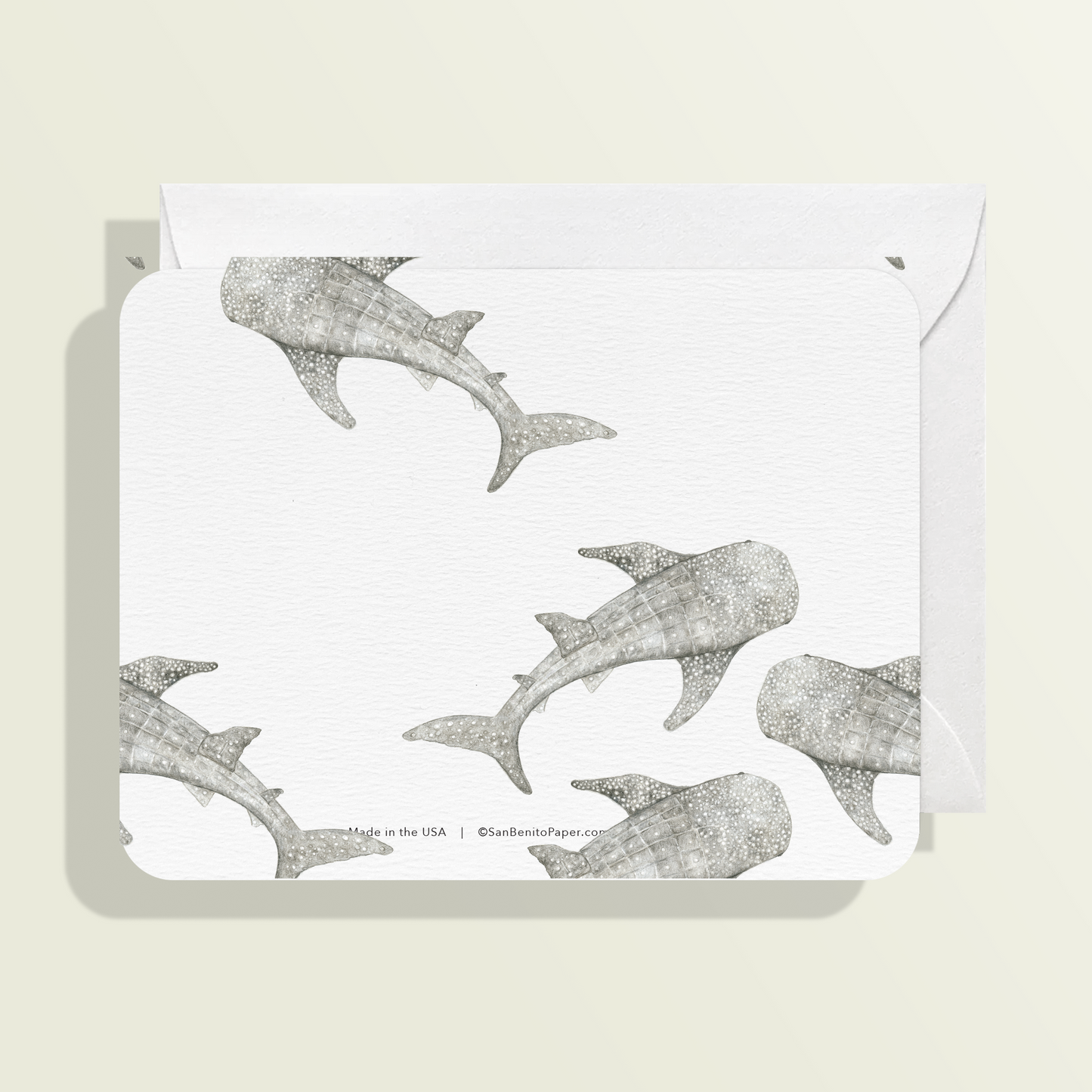 Whale Shark Card