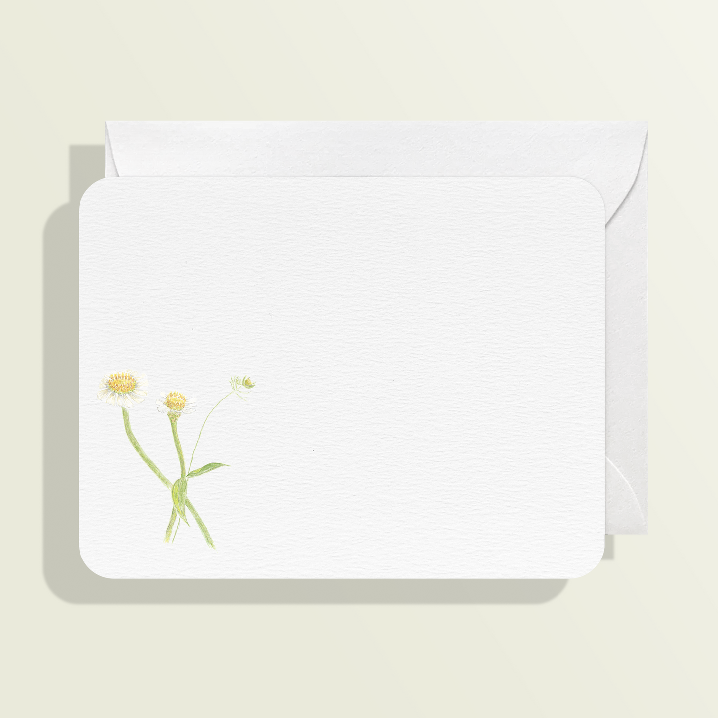 White Zinnia Card