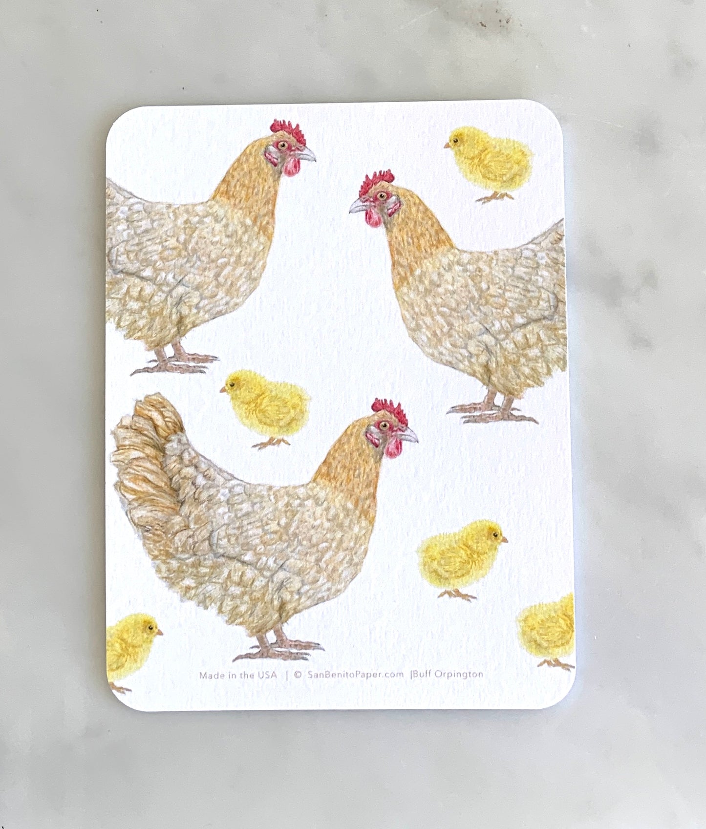 Buff Orpington Chicken Card