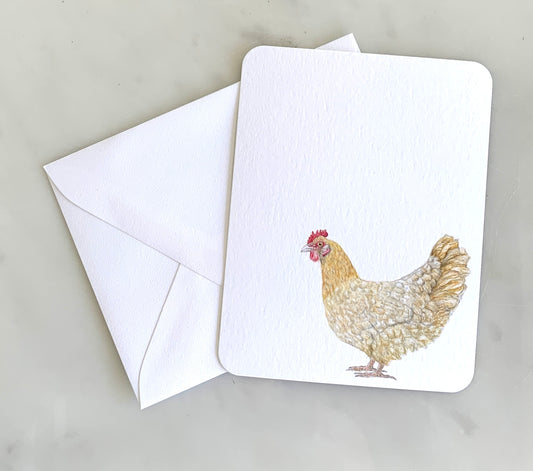 Buff Orpington Chicken Card