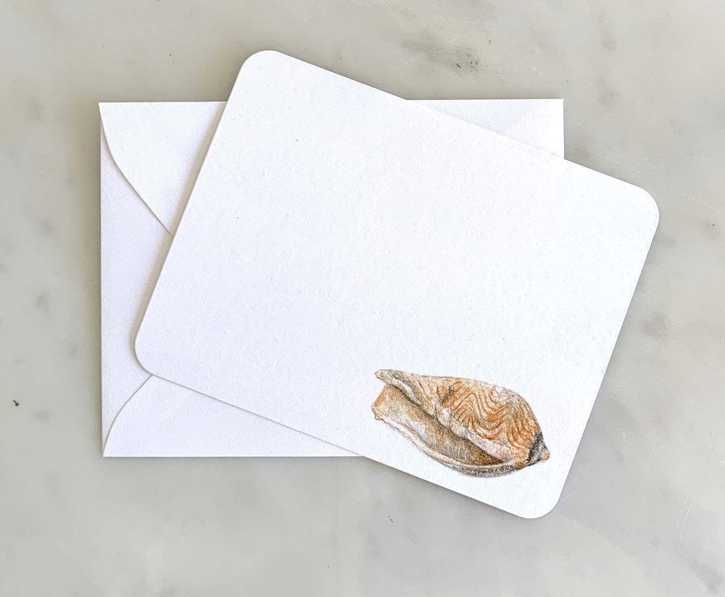 Shell Stationery Set