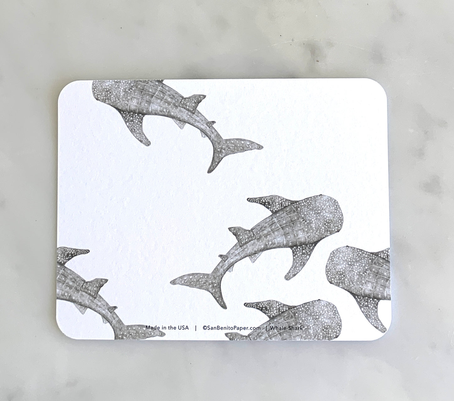 Whale Shark Card